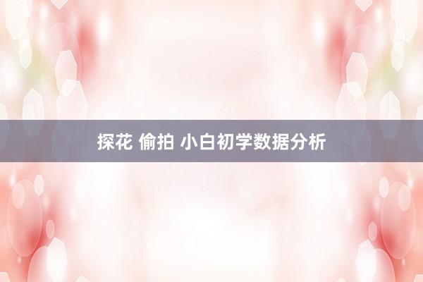 探花 偷拍 小白初学数据分析