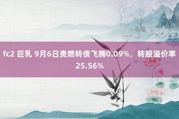 fc2 巨乳 9月6日贵燃转债飞腾0.09%，转股溢价率25.56%