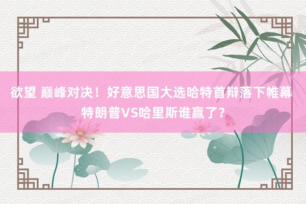 欲望 巅峰对决！好意思国大选哈特首辩落下帷幕 特朗普VS哈里斯谁赢了？