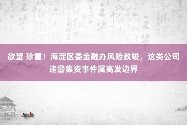 欲望 珍重！海淀区委金融办风险教唆，这类公司违警集资事件属高发边界