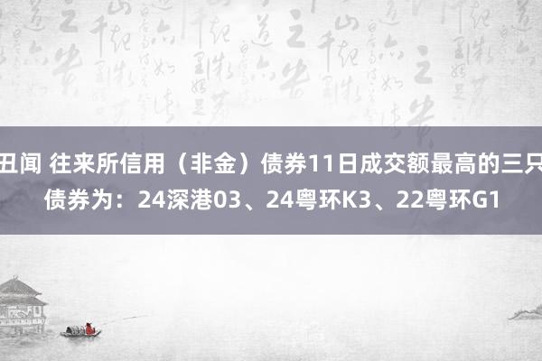 丑闻 往来所信用（非金）债券11日成交额最高的三只债券为：24深港03、24粤环K3、22粤环G1