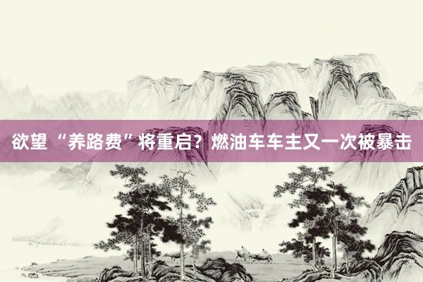 欲望 “养路费”将重启？燃油车车主又一次被暴击