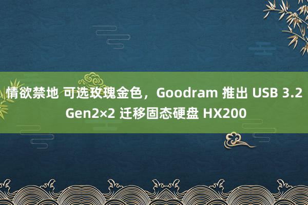 情欲禁地 可选玫瑰金色，Goodram 推出 USB 3.2 Gen2×2 迁移固态硬盘 HX200