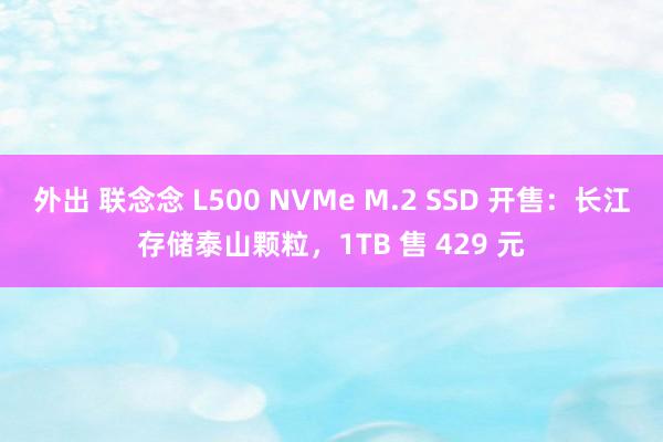 外出 联念念 L500 NVMe M.2 SSD 开售：长江存储泰山颗粒，1TB 售 429 元