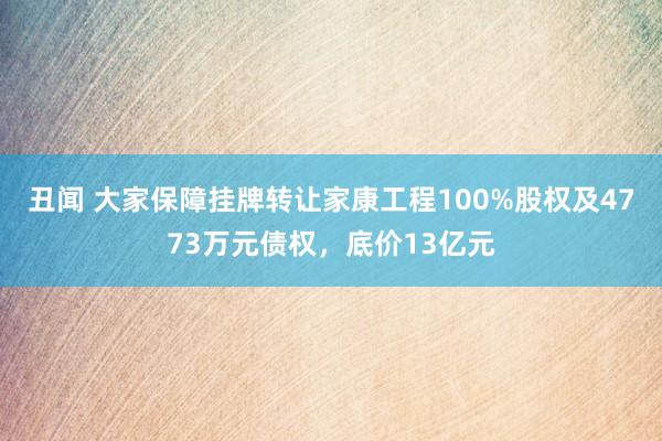 丑闻 大家保障挂牌转让家康工程100%股权及4773万元债权，底价13亿元