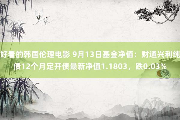 好看的韩国伦理电影 9月13日基金净值：财通兴利纯债12个月定开债最新净值1.1803，跌0.03%