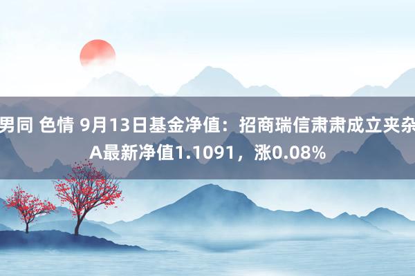 男同 色情 9月13日基金净值：招商瑞信肃肃成立夹杂A最新净值1.1091，涨0.08%