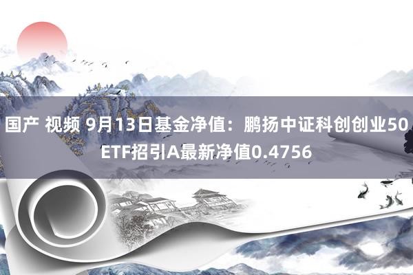 国产 视频 9月13日基金净值：鹏扬中证科创创业50ETF招引A最新净值0.4756