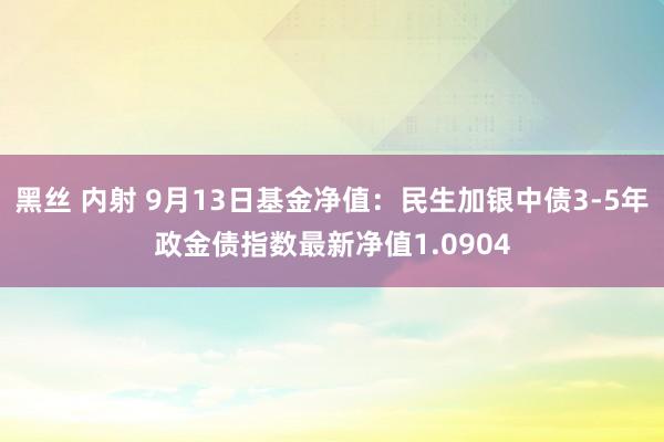 黑丝 内射 9月13日基金净值：民生加银中债3-5年政金债指数最新净值1.0904