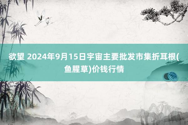 欲望 2024年9月15日宇宙主要批发市集折耳根(鱼腥草)价钱行情