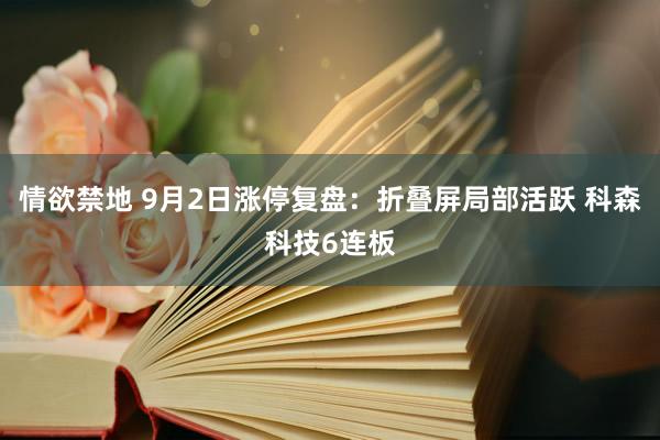 情欲禁地 9月2日涨停复盘：折叠屏局部活跃 科森科技6连板