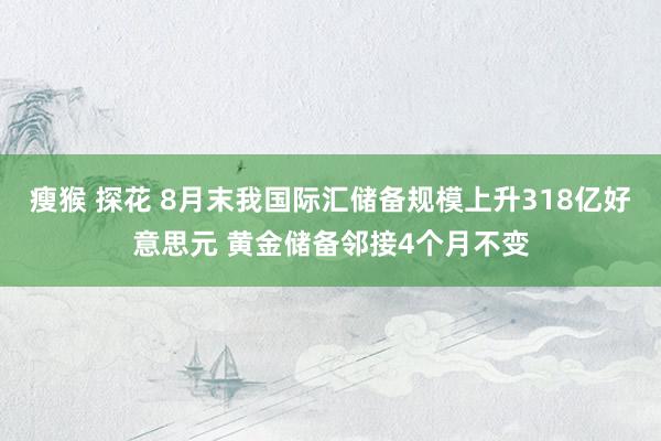 瘦猴 探花 8月末我国际汇储备规模上升318亿好意思元 黄金储备邻接4个月不变