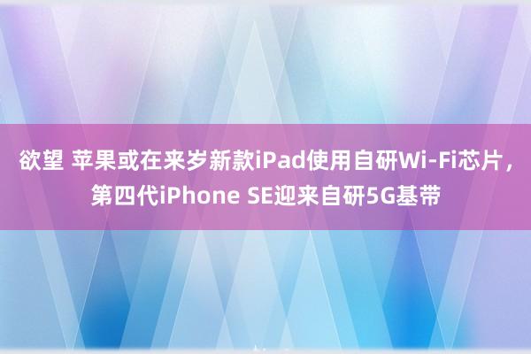 欲望 苹果或在来岁新款iPad使用自研Wi-Fi芯片，第四代iPhone SE迎来自研5G基带