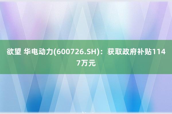 欲望 华电动力(600726.SH)：获取政府补贴1147万元