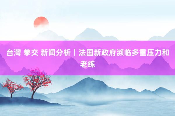 台灣 拳交 新闻分析｜法国新政府濒临多重压力和老练