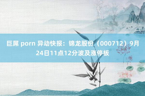 巨屌 porn 异动快报：锦龙股份（000712）9月24日11点12分波及涨停板