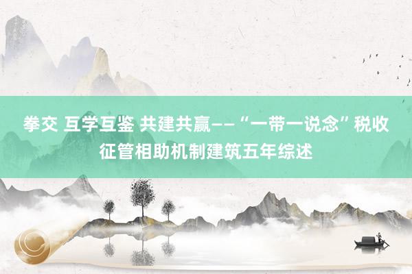 拳交 互学互鉴 共建共赢——“一带一说念”税收征管相助机制建筑五年综述