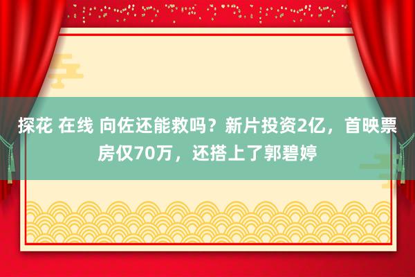 探花 在线 向佐还能救吗？新片投资2亿，首映票房仅70万，还搭上了郭碧婷