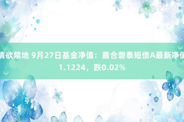 情欲禁地 9月27日基金净值：嘉合磐泰短债A最新净值1.1224，跌0.02%