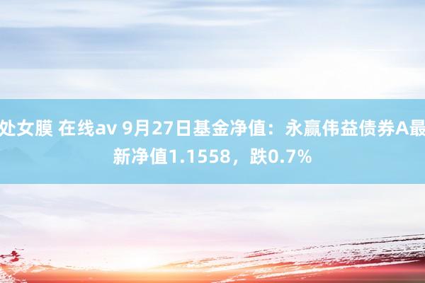 处女膜 在线av 9月27日基金净值：永赢伟益债券A最新净值1.1558，跌0.7%