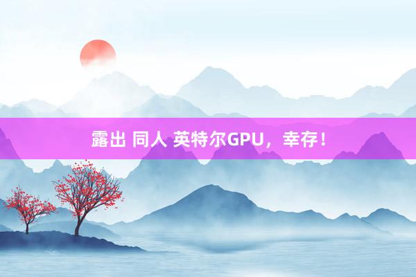 露出 同人 英特尔GPU，幸存！