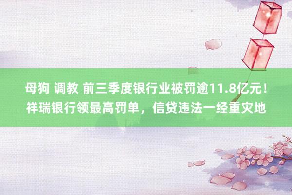 母狗 调教 前三季度银行业被罚逾11.8亿元！祥瑞银行领最高罚单，信贷违法一经重灾地