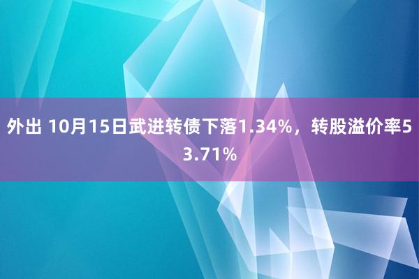 外出 10月15日武进转债下落1.34%，转股溢价率53.71%