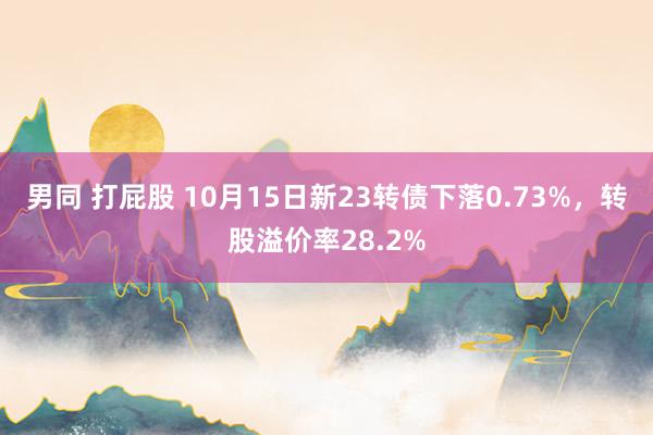 男同 打屁股 10月15日新23转债下落0.73%，转股溢价率28.2%