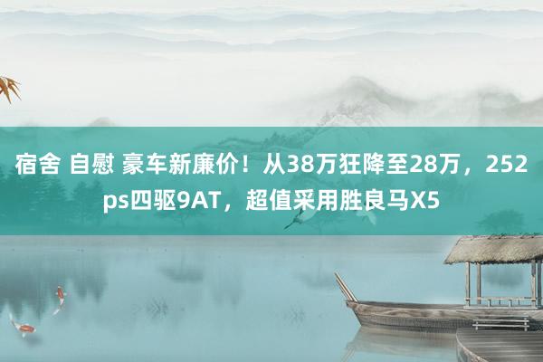 宿舍 自慰 豪车新廉价！从38万狂降至28万，252ps四驱9AT，超值采用胜良马X5