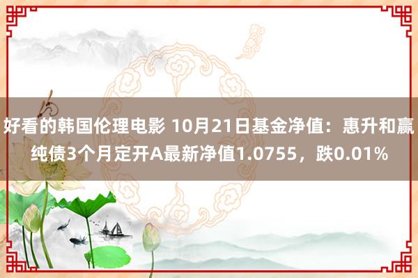 好看的韩国伦理电影 10月21日基金净值：惠升和赢纯债3个月定开A最新净值1.0755，跌0.01%