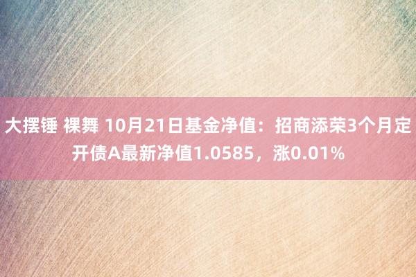 大摆锤 裸舞 10月21日基金净值：招商添荣3个月定开债A最新净值1.0585，涨0.01%