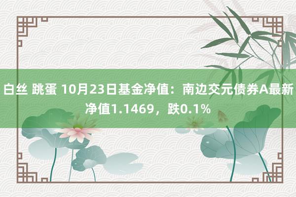 白丝 跳蛋 10月23日基金净值：南边交元债券A最新净值1.1469，跌0.1%