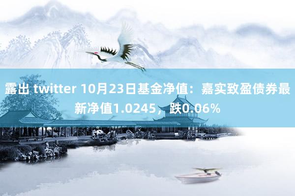 露出 twitter 10月23日基金净值：嘉实致盈债券最新净值1.0245，跌0.06%