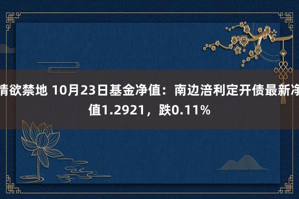 情欲禁地 10月23日基金净值：南边涪利定开债最新净值1.2921，跌0.11%