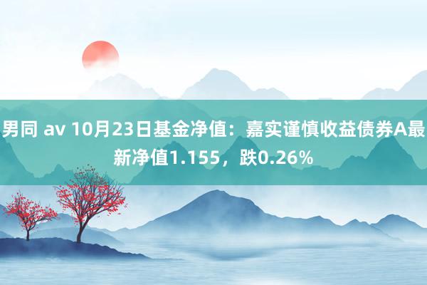 男同 av 10月23日基金净值：嘉实谨慎收益债券A最新净值1.155，跌0.26%