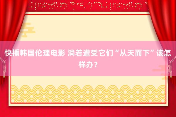 快播韩国伦理电影 淌若遭受它们“从天而下”该怎样办？