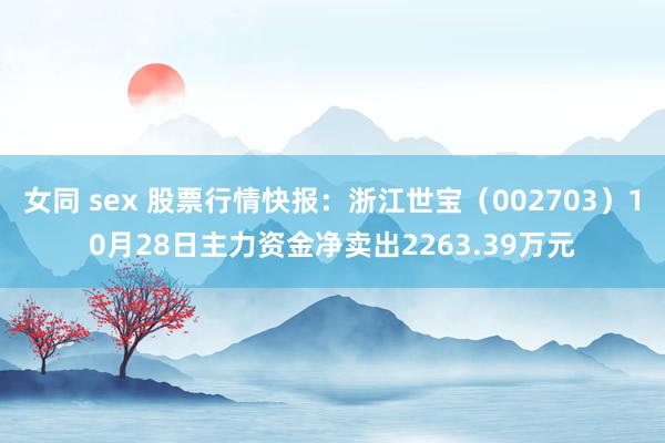 女同 sex 股票行情快报：浙江世宝（002703）10月28日主力资金净卖出2263.39万元