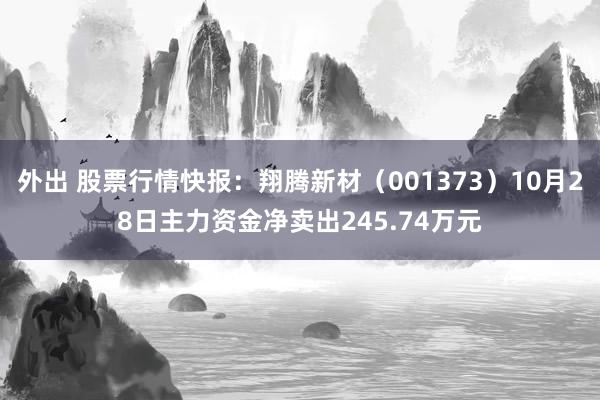 外出 股票行情快报：翔腾新材（001373）10月28日主力资金净卖出245.74万元