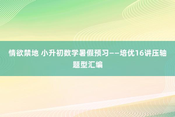 情欲禁地 小升初数学暑假预习——培优16讲压轴题型汇编