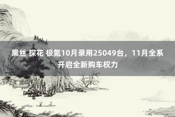 黑丝 探花 极氪10月录用25049台，11月全系开启全新购车权力