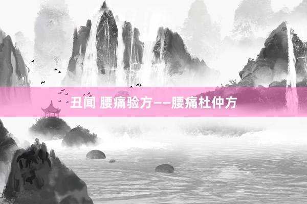 丑闻 腰痛验方——腰痛杜仲方