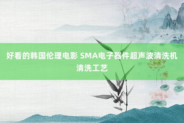 好看的韩国伦理电影 SMA电子器件超声波清洗机清洗工艺