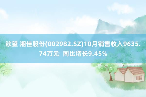 欲望 湘佳股份(002982.SZ)10月销售收入9635.74万元  同比增长9.45%