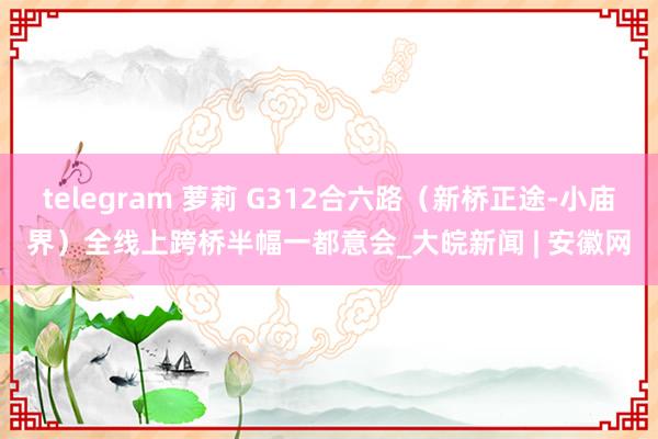 telegram 萝莉 G312合六路（新桥正途-小庙界）全线上跨桥半幅一都意会_大皖新闻 | 安徽网