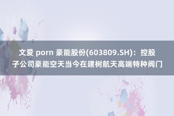 文爱 porn 豪能股份(603809.SH)：控股子公司豪能空天当今在建树航天高端特种阀门