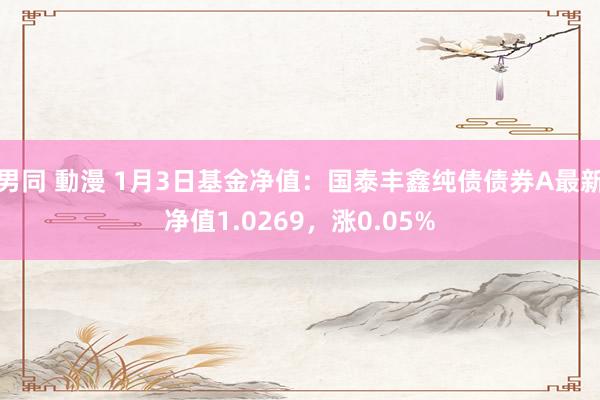 男同 動漫 1月3日基金净值：国泰丰鑫纯债债券A最新净值1.0269，涨0.05%