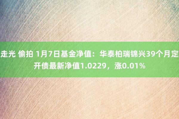 走光 偷拍 1月7日基金净值：华泰柏瑞锦兴39个月定开债最新净值1.0229，涨0.01%