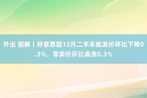 外出 图解｜好意思国12月二手车批发价环比下降0.3%，零卖价环比高涨0.3%