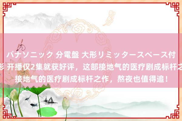 パナソニック 分電盤 大形リミッタースペース付 露出・半埋込両用形 开播仅2集就获好评，这部接地气的医疗剧成标杆之作，熬夜也值得追！